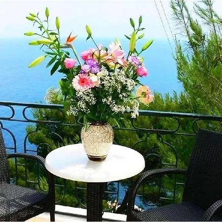 Belvedere Hotel 4*