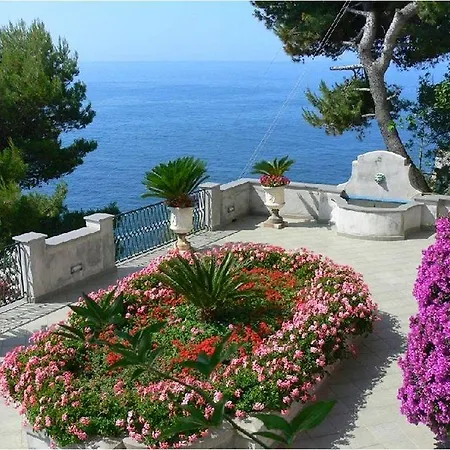 Belvedere 4*