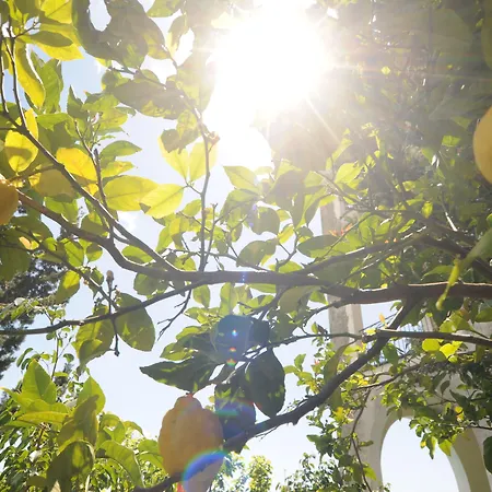 ベルヴェデーレ ホテル コンカ・デイ・マリーニ